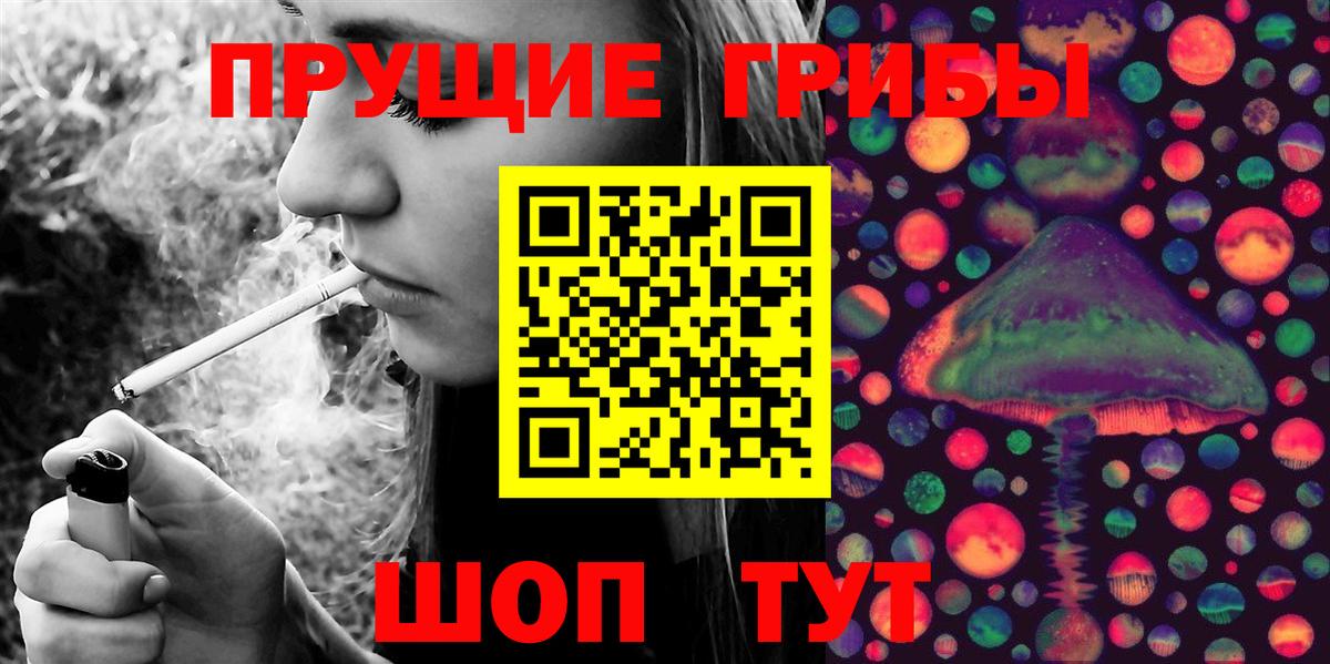 Галлюциногенные грибы Psilocybe Кызыл